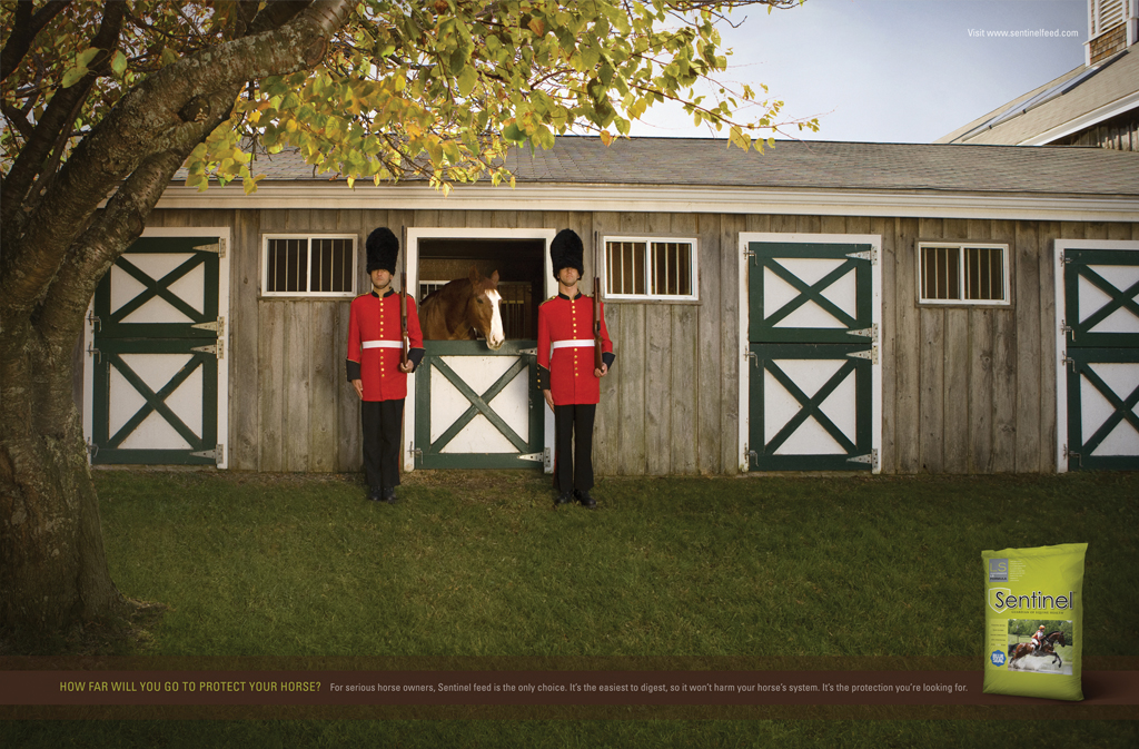 Blue Seal - Project 2