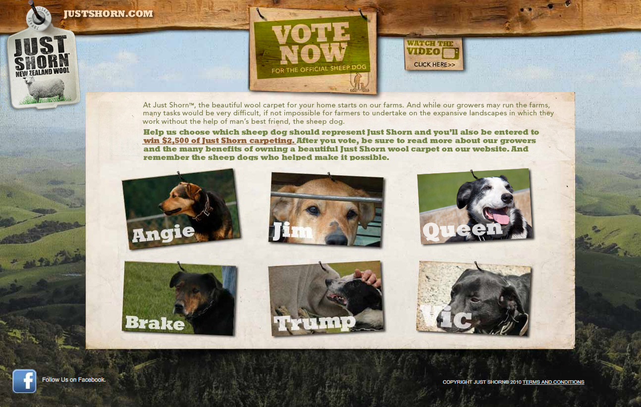 Just Shorn - Project 1