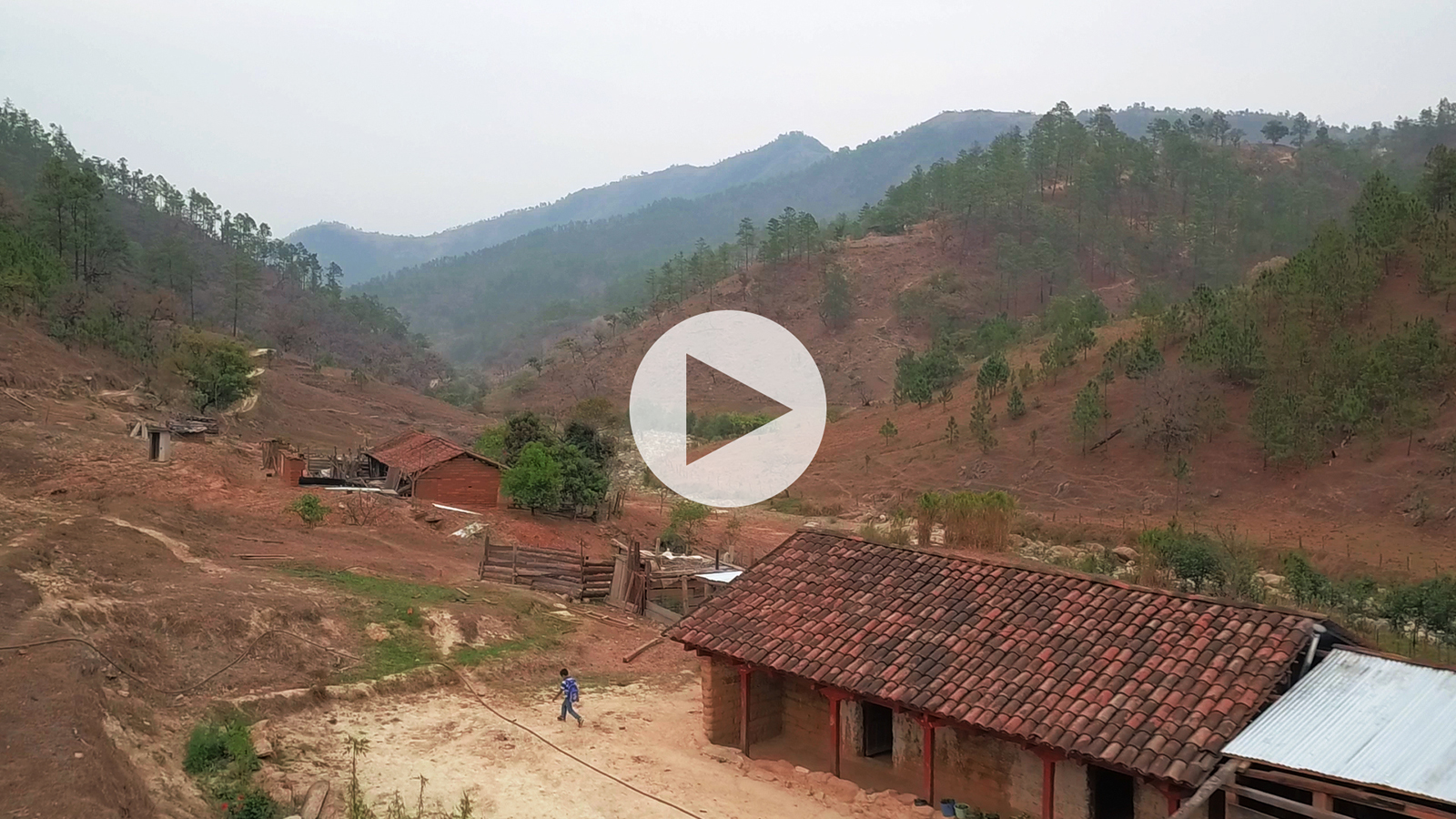 Miscellaneous - Project 23